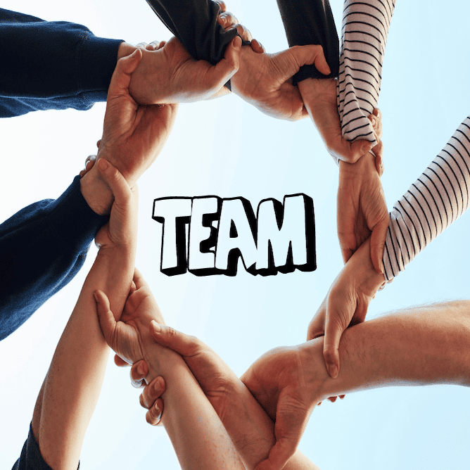 Our Team